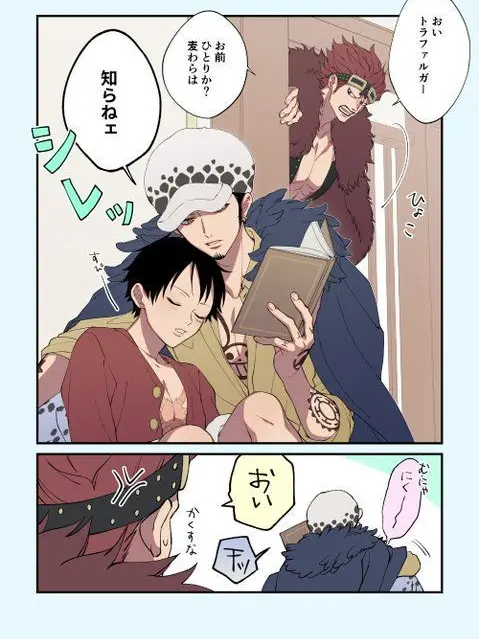 PlumPie8456의 独り占めするトラファルガーロー