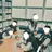 원어스 쉐어하우스