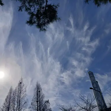 Profile image of 덕개