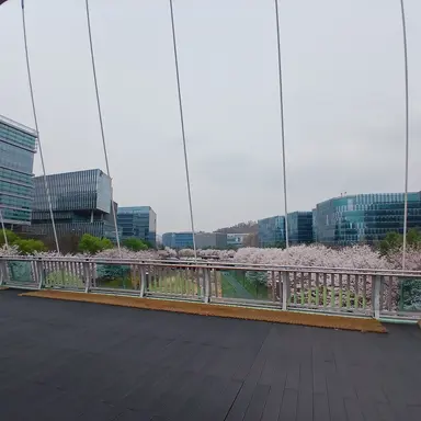 Profile image of 라더