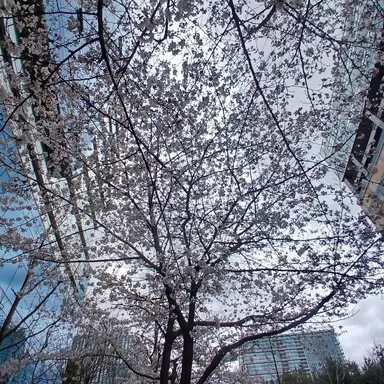 Profile image of 권민구