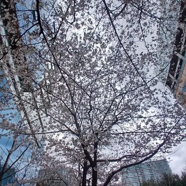 Profile image of 오준현