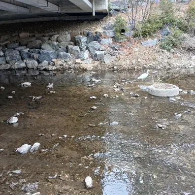 Profile image of 신승아