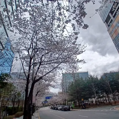 Profile image of 또니