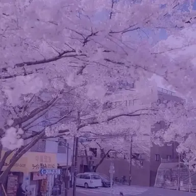 Profile image of 深澤辰哉