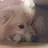 김하온