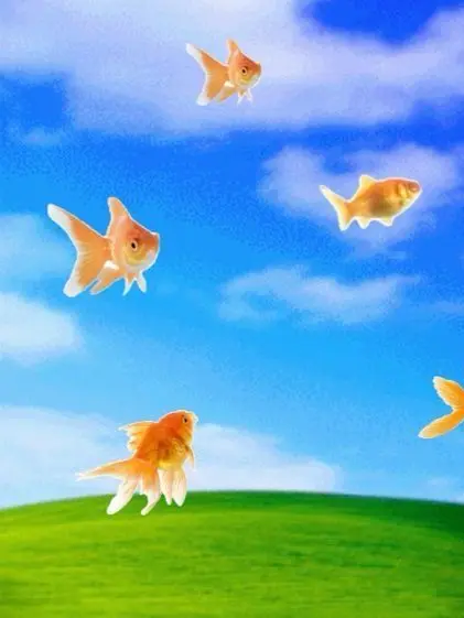 yuu-u의 또 컴퓨터에 물 들어갔네