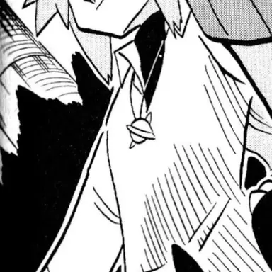 Profile image of N