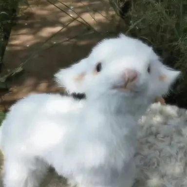 Profile image of 유유