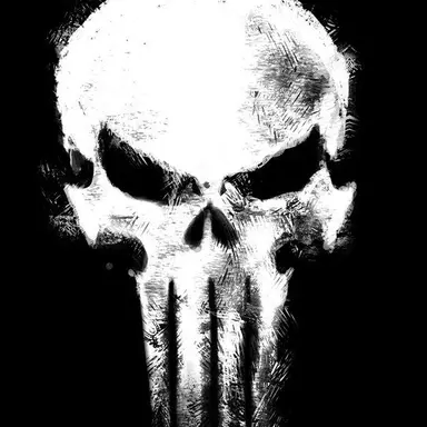 Profile image of THE PUNISHER