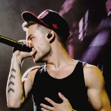 Profile image of Liam Payne