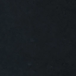 정시한