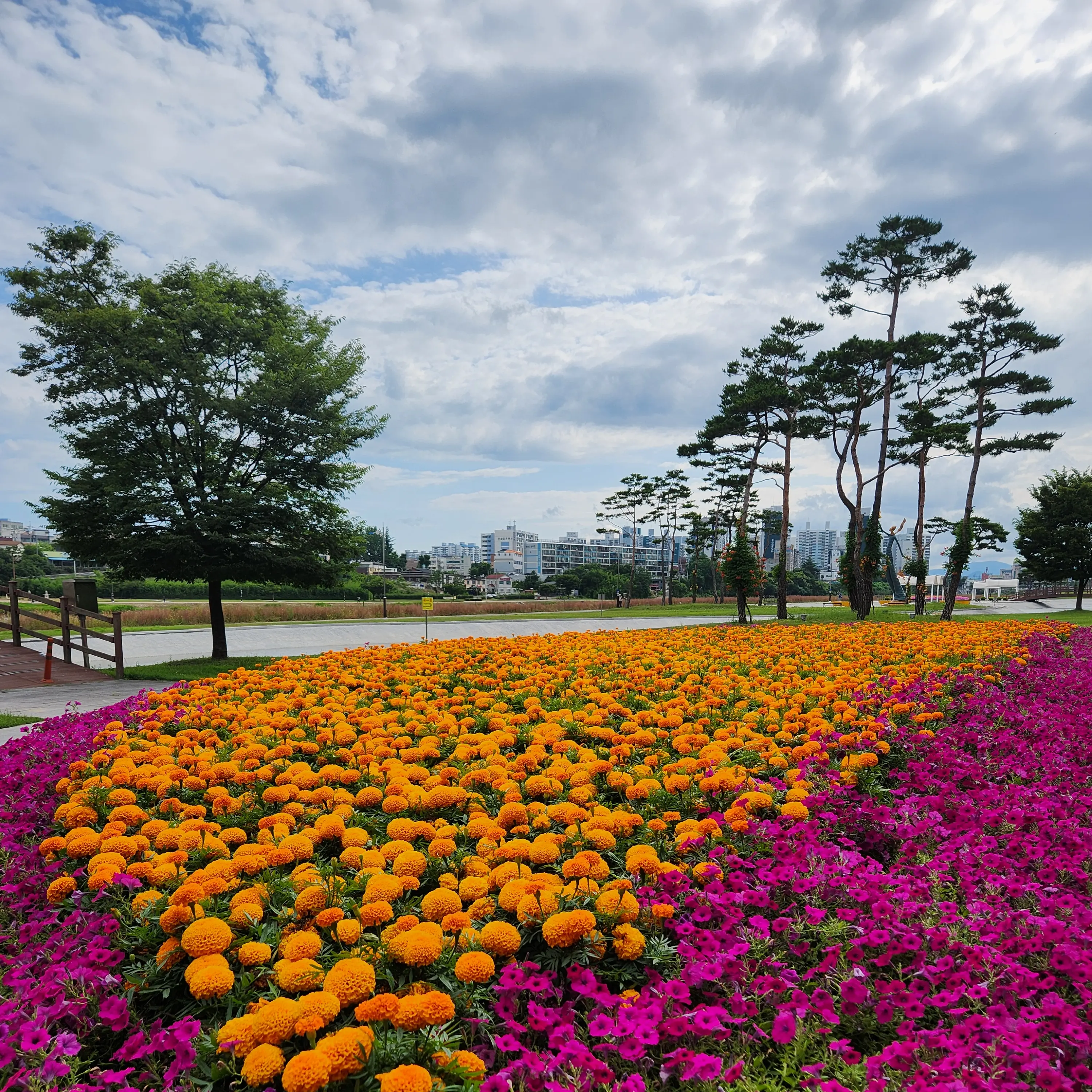 SoreBoard4844의 조은서