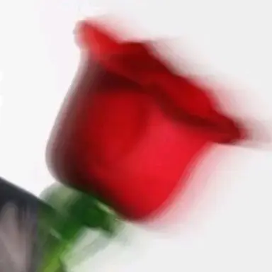 Profile image of 박지훈
