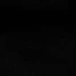 Profile image of 김동현