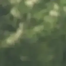 Profile image of 이지훈