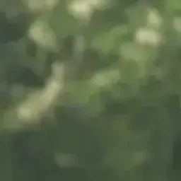 이지훈