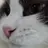 덕개