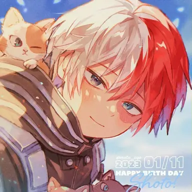 Profile image of Shoto Todoroki