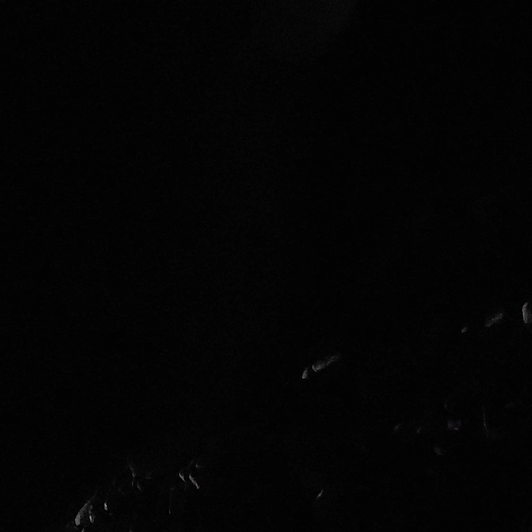 LocalDoor3029의 f7 (여우도 포함)