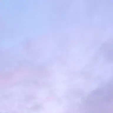 Profile image of 배진솔