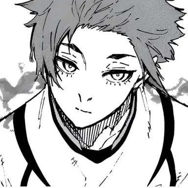 Profile image of Sae Itoshi