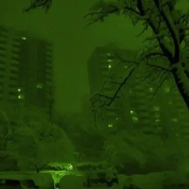 Profile image of 정공룡