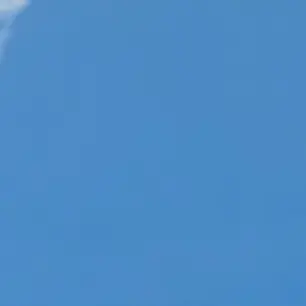 Profile image of 블루캅