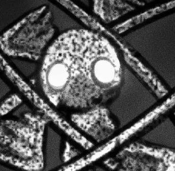 Profile image of Dogma