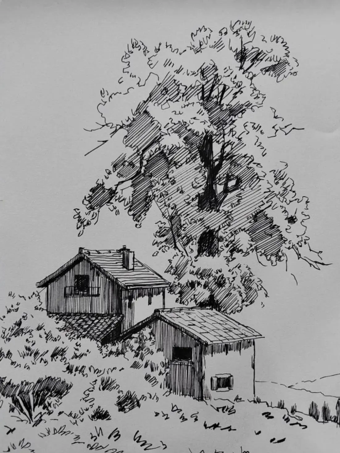 ModernMolto4477의 미술 동아리 선생님