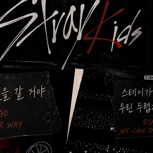FitBaiji5298의 Stray Kidsのマネージャー