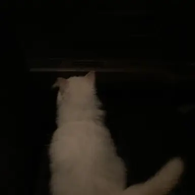 Profile image of 松田元太