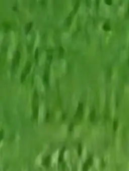 AbsurdCave3666의 한지성