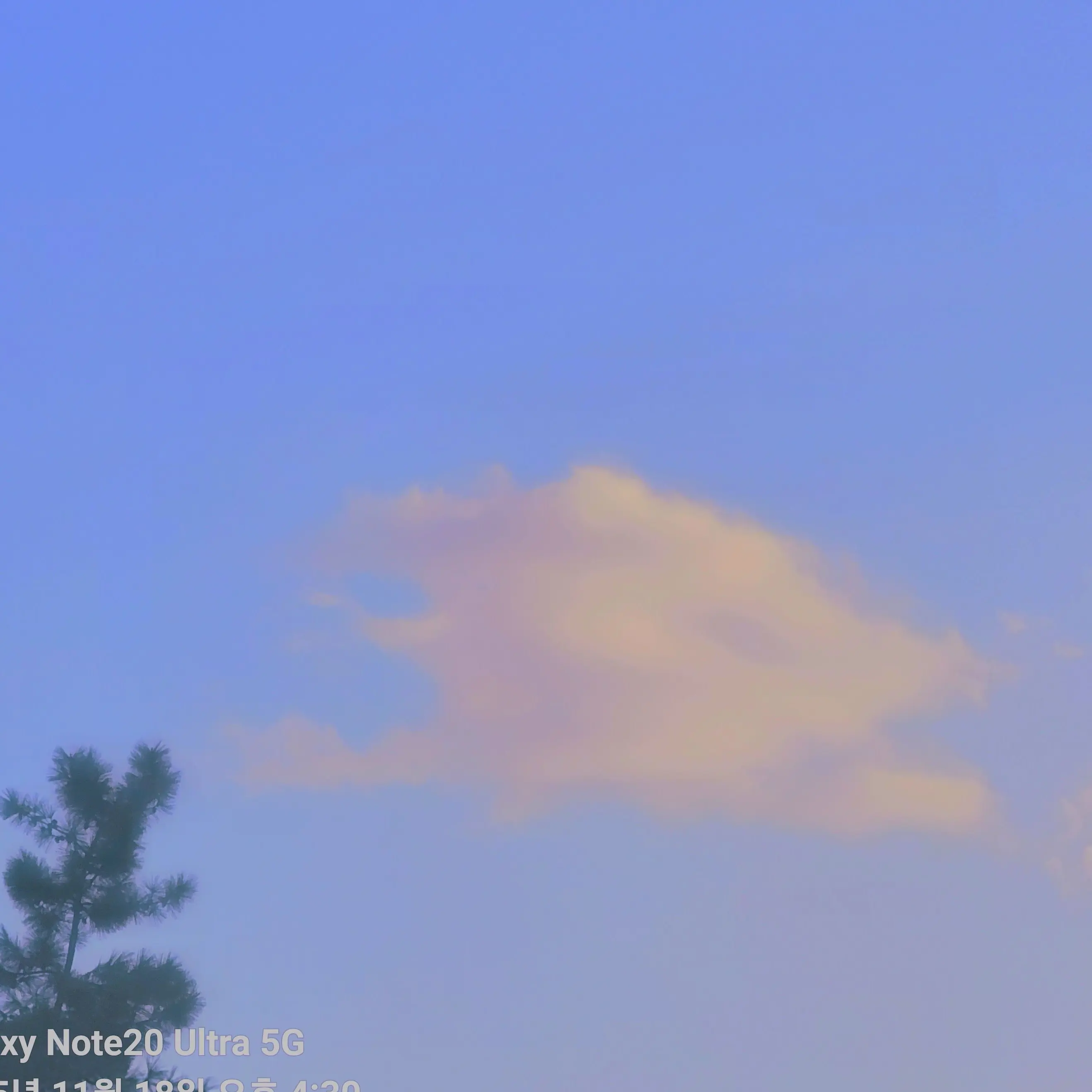 AIRBUS380BOEING737의 장원영