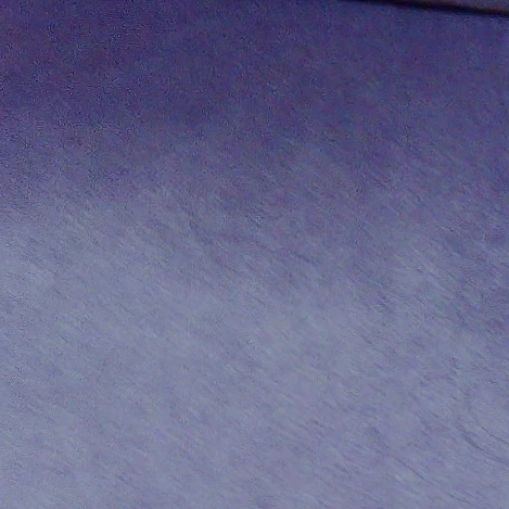 りょうが
