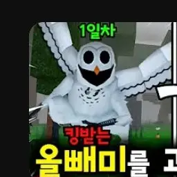 Profile image of 괴물올빼미