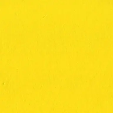 Profile image of Jinto