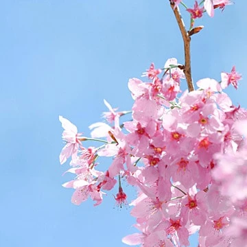 수경위