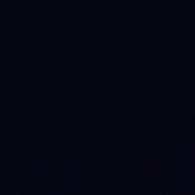 전웑우