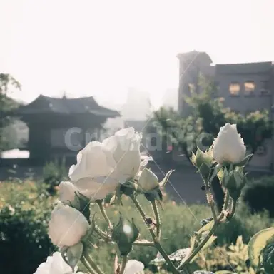 Profile image of 민경찬