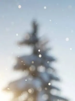 .MGA.의 取られたくない。