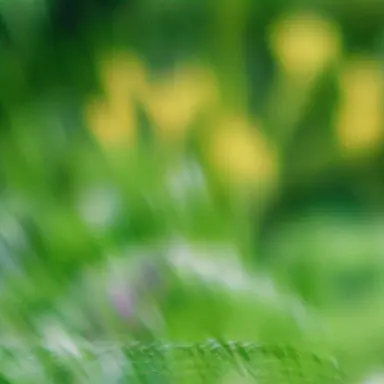 Profile image of ゆうき