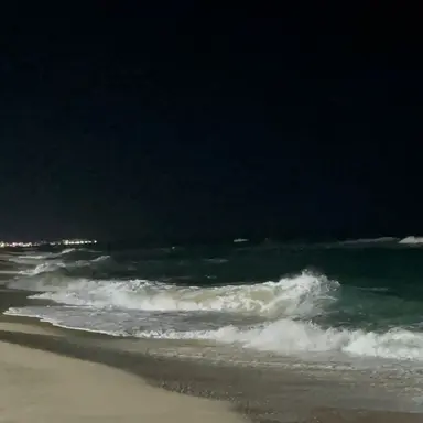 Profile image of 황인준