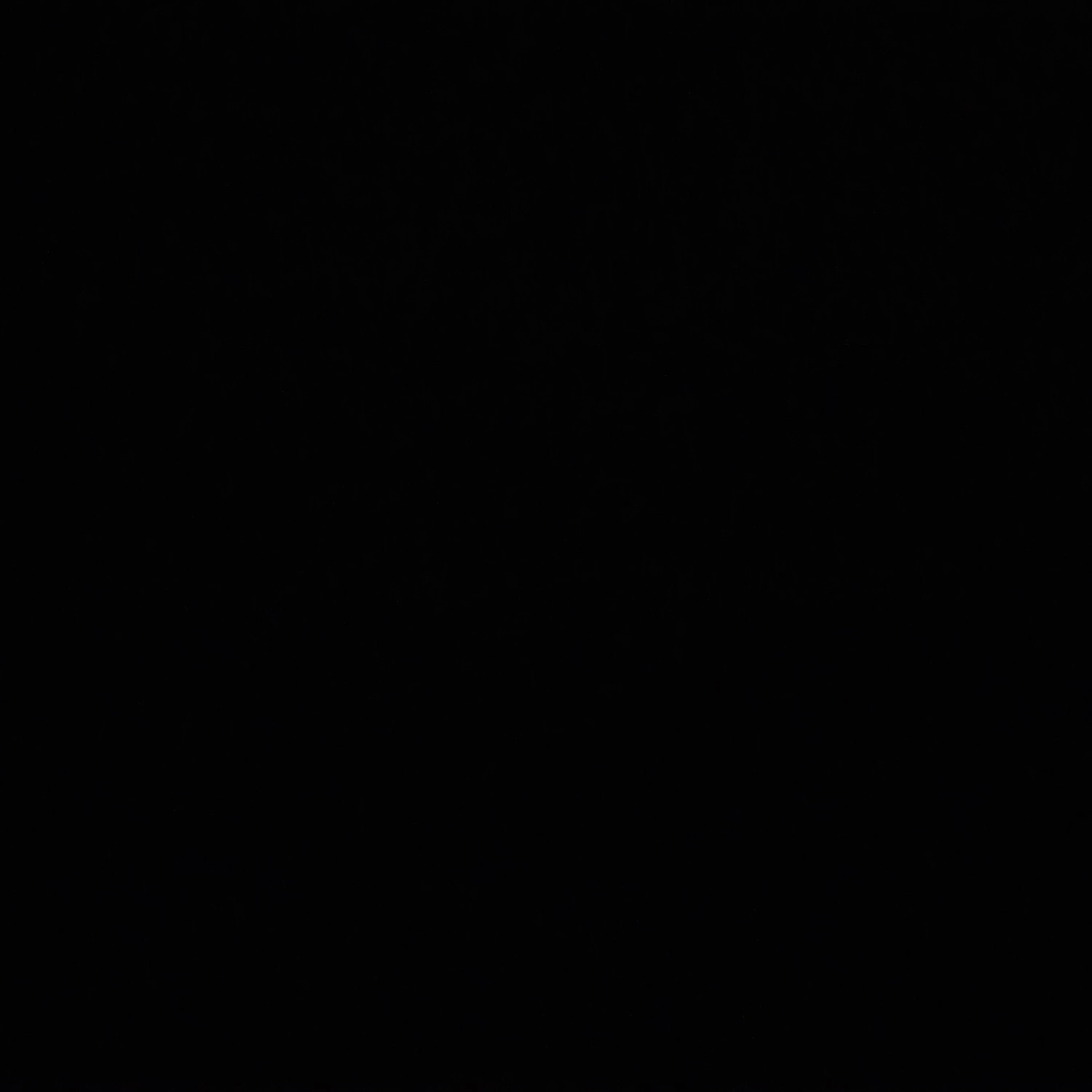 김요한