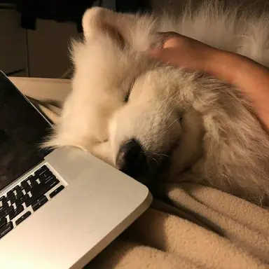 Profile image of 김민정