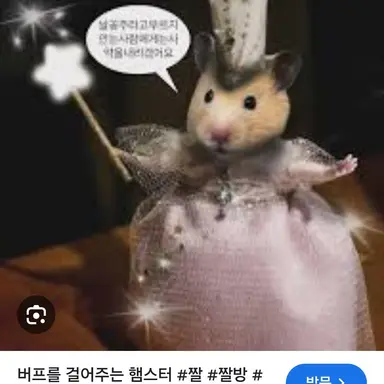 Profile image of 여우