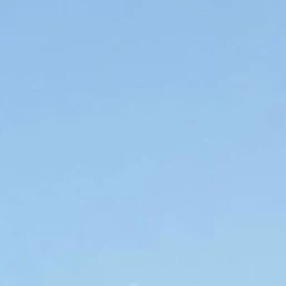 명재현