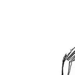 Profile image of 스탬프