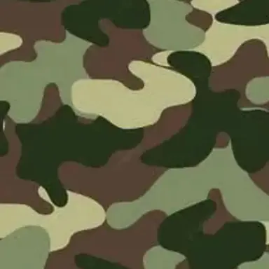 Profile image of 윤1진영