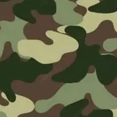 Profile image of 손담비